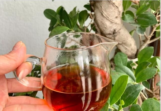 Thé Oolong doux à bas à moyen prix 2 ans