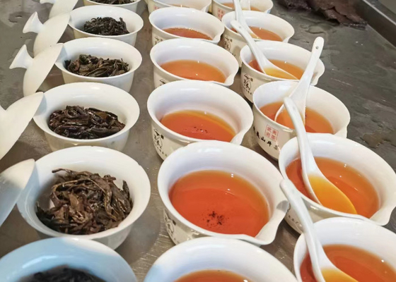 Thé Oolong chaud ou froid avec arôme floral pour les suggestions de service