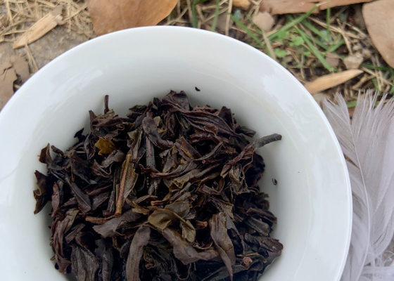 Inspirations florales revitalisées dans des tasses de thé à os avec 3-5 minutes de brassage