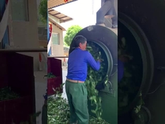 Vidéo sur la technologie du thé