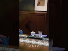 produits à base de thé galze